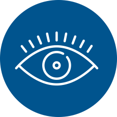 Vision Vision icon