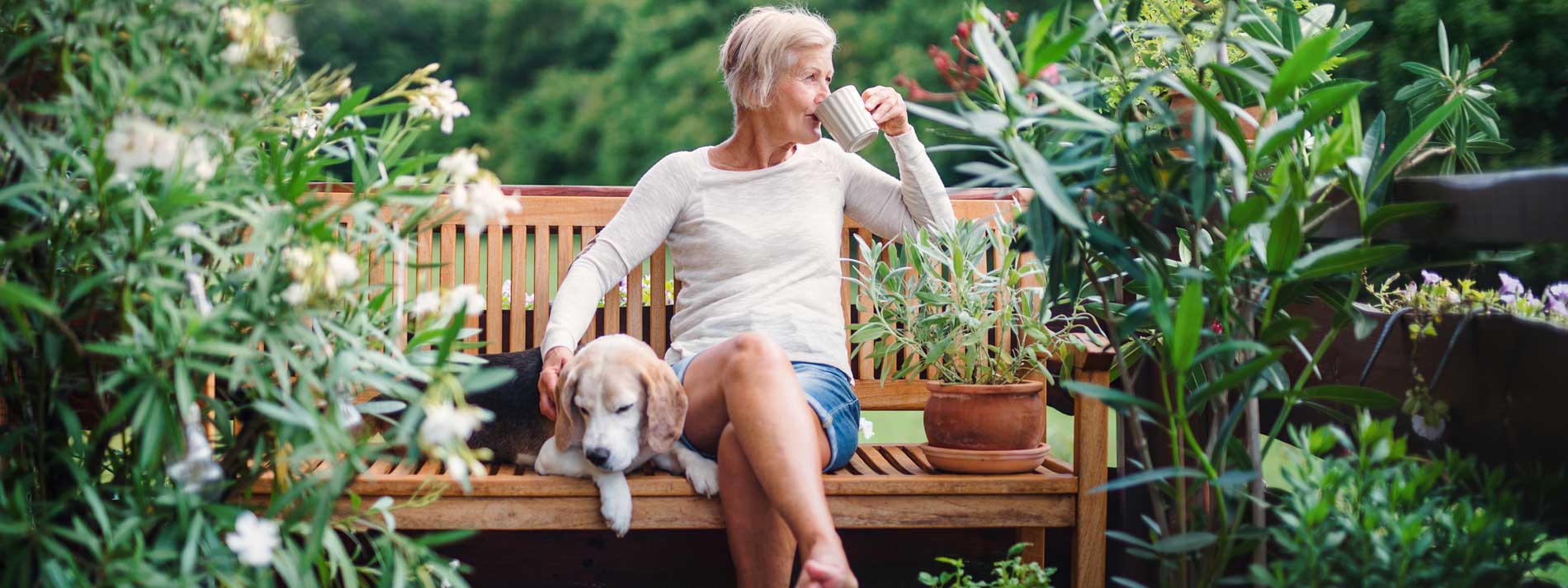 Mujer mayor sentada que bebe té en el jardín