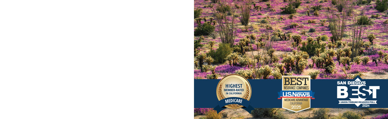 Anza-Borrego Desert flowers
