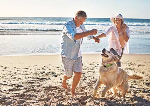 Beach, playing with the dog